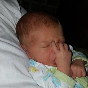 Meet your Posher, Trinka